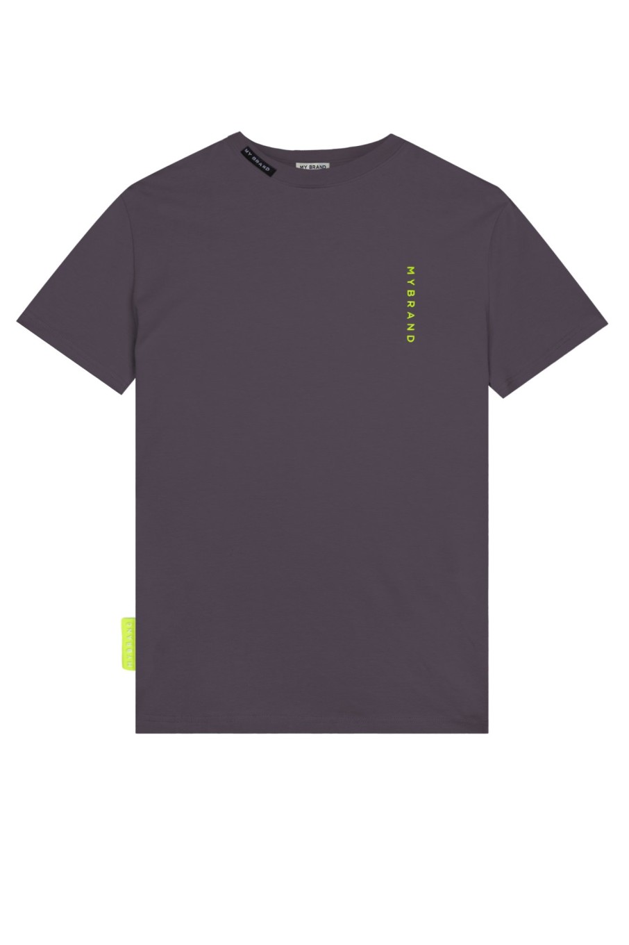 Heren My Brand Zwemkleding | Basic Swim Capsule Tshirt Grey Neon