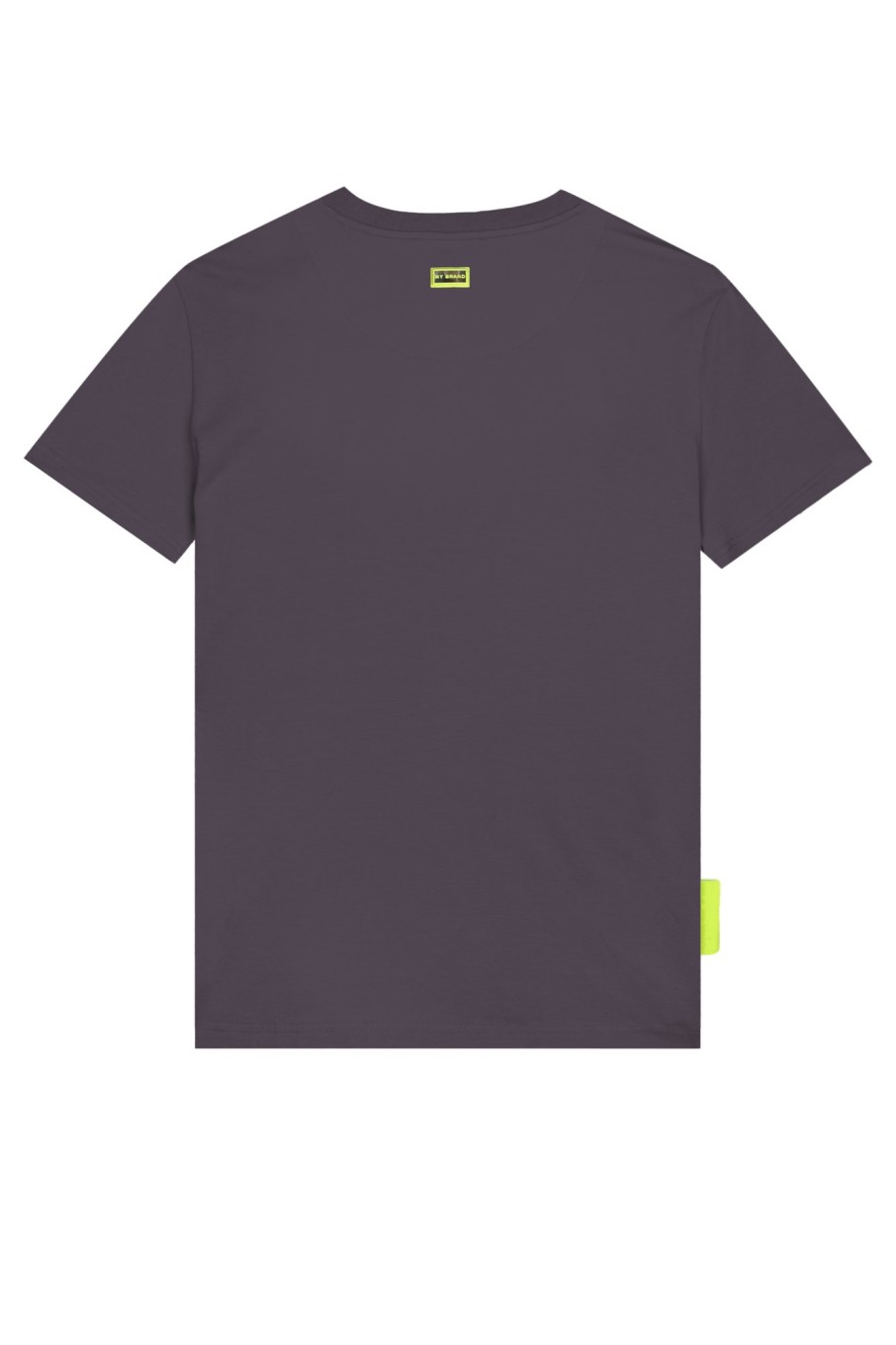 Heren My Brand Zwemkleding | Basic Swim Capsule Tshirt Grey Neon